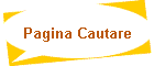 Pagina Cautare